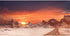 AWERT 72x18 inches Sun and Desert Terrarium Background Durable Polyester Background