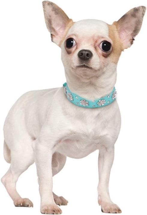 Rhinestone Dog Collar, Cute Flower Bling Collar, PU Leather Adjustable Sizes for Small Medium Large Dogs