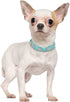 Rhinestone Dog Collar, Cute Flower Bling Collar, PU Leather Adjustable Sizes for Small Medium Large Dogs