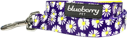 Blueberry Pet 2 Pattern Loving Daisy Prints Dog Leash - Soft Comfortable Handle, 5 ft x 5/8", for Small Dogs