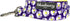 Blueberry Pet 2 Pattern Loving Daisy Prints Dog Leash - Soft Comfortable Handle, 5 ft x 5/8", for Small Dogs
