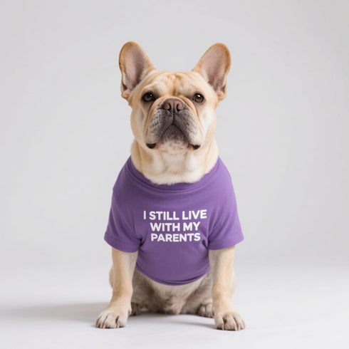 French Bulldog Dog Shirt, Breathable Stretchy T-Shirts for Pets, Medium Puppy Cat Tee Costumes