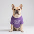 French Bulldog Dog Shirt, Breathable Stretchy T-Shirts for Pets, Medium Puppy Cat Tee Costumes