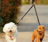 No Tangle Dog Leash Coupler, Dual Adjustable Splitter Lead for Two Dogs, Sturdy Walker Trainer Leash