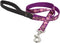 LupinePet Originals 3/4" Rose Garden Padded Handle Leash, 6-Foot for Medium and Larger Dogs