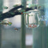 3PCS Acrylic Aquatic Red Worm Cups with 6 Suction Cups, Aquarium Plant Holder for Live Fish Tank