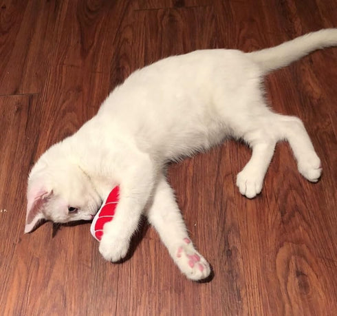 munchiecat Sushi Catnip Toy for Cats, USA Made, Engaging Design for Pouncing and Play, 4-Pc Rainbow