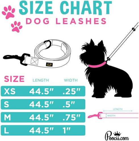 Dog Leash, 4 Feet Long, Stylish and Durable Training Accessories for Small, Medium, and Large Pets, Serene Teal