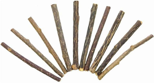 Smokey's Stash 10 Catnip Alternative Matatabi Silvervine Sticks for Cats, Potent Chew Toy for Clean Teeth