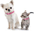 ChengFu XXS Dog Collar - Pink Teacup Dog Collar for Small Dogs & Cats, 3/8 inch Width