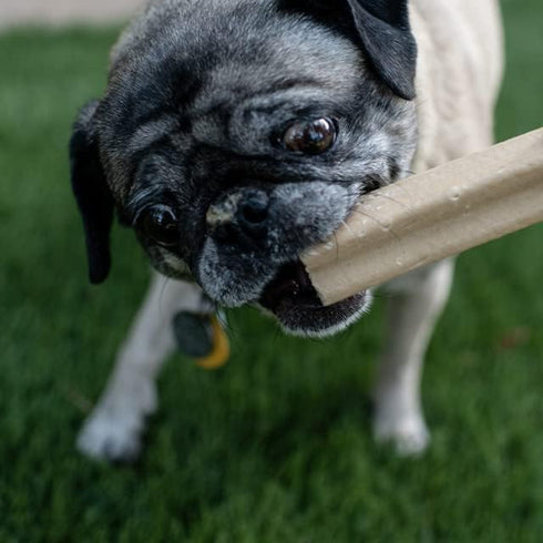 Loving Pets Yummy Bones, Peanut Butter Flavor Filled Bones for Medium/Large Dogs, 20-100+ lbs