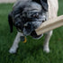 Loving Pets Yummy Bones, Peanut Butter Flavor Filled Bones for Medium/Large Dogs, 20-100+ lbs