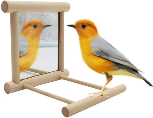 Bird Mirror Wooden Hanging Swing Interactive Play Toys for Small Parrots, 2 PCS Accessories