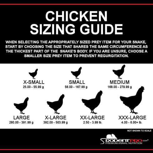 Rodentpro.com Frozen (1 Count) RodentPro Reptile Feeder Triple Extra-Large Chickens