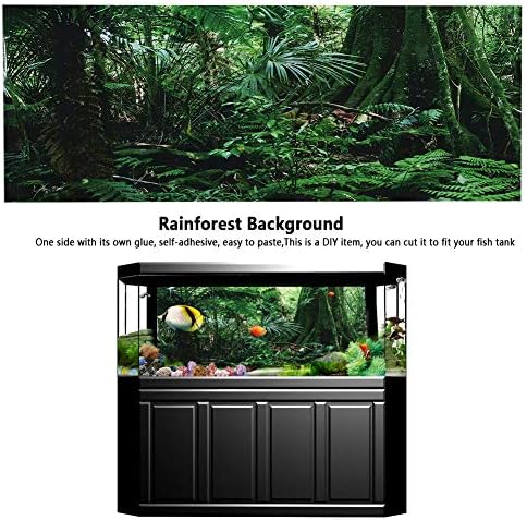TOPINCN 3D Effect Rainforest Poster Self-Adhesive PVC Aquarium Fish Backdrop Mural Decorative Reptile Terrarium Wallpaper Living Room Sofa TV Background Photo Wallpaper(61 * 41cm)