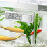2Pcs LCD 3D Digital Electronic Temperature Measurement, Fish Tank Temp Meter, Aquarium Thermometer Accessories