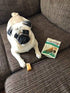 Authentic Himalayan Yak Cheese for Dogs - Small/Medium (Pack of 4) - Rawhide-Free, NO preservatives