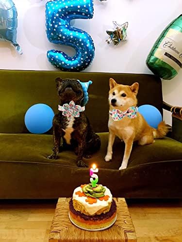 Unique Style Dog Collar with Flower, Adjustable Durable Birthday Collar, Flower Pattern for Small Medium Large Dogs