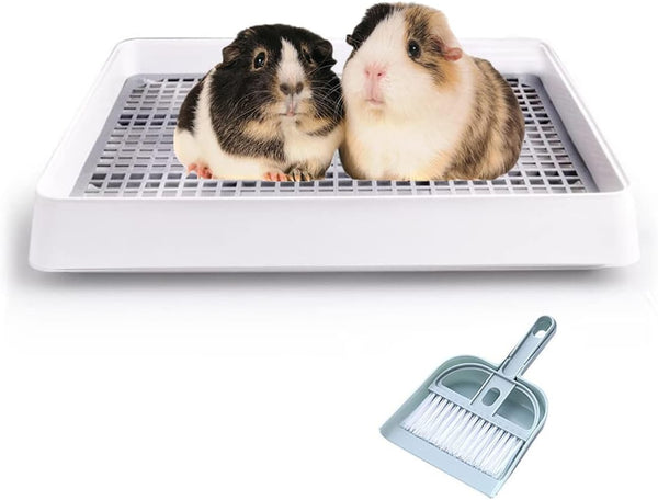 Petlex Rabbit Litter Box with Grate, Super Large Guinea Pig Litter Pan