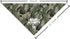 Dog Bandana, Baby Security Dog Bandana, Camouflage Dog Scarf Printing, Dog Scarf Accessories, Dog Bandana Pet Scarf, Pet Baby Announcement Scarf Gender Reveal Accessories, Dog Bandana Gift (H16)