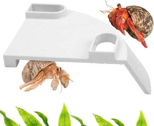 DQITJ 1 Pcs Hermit Crab Cave Habitat Hermit Crab Climbing Toy Tank Accessories