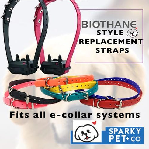Sparky Pet Co 3/4" Biothane Replacement Roller Buckle Dog Collar, Teal