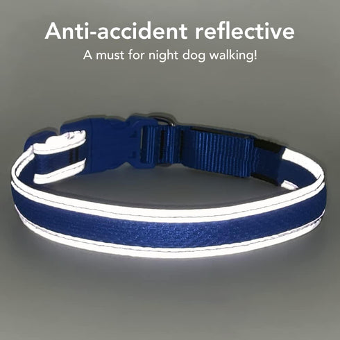 BSEEN Light Up Dog Collar, Rechargeable LED, Adjustable Reflective Dog Lights for Night Walking