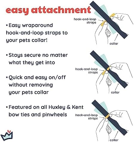 Huxley & Kent Bow Tie for Pets, Chicks & Eggs (Large), Easter Spring Velcro Collar Attachment for Dogs & Cats