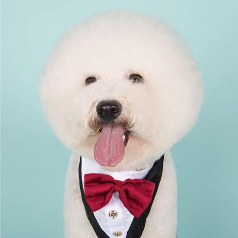 Dog Tuxedo Collar with Bowtie - Adjustable Formal Neckerchief for Wedding Party for Pets, Red