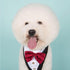 Dog Tuxedo Collar with Bowtie - Adjustable Formal Neckerchief for Wedding Party for Pets, Red