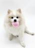 PawfectPals Interactive Squeaky Plush Toy for Dogs, Funny Ice Cream Bucket with Scoop