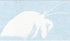 Right Now Decals 01079 Hermit Crab - Decapod Crustaceans Paguroidea - Cars Trucks Moped Helmet Hard Hat Auto Automotive