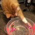TeDDinke Swimming (6) Fish Toy for Cats,Glowing Waterproof Cat Water Toy with Adjustable Speed and Realistic