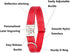 Reflective Dog Collar with Metal Buckle, Soft Sturdy Nylon Adjustable Collars with ID Tag Ring for Small Medium Large