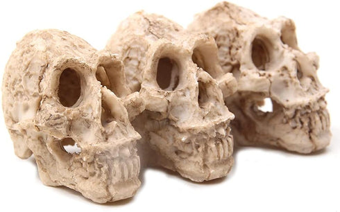 Driak 3Pcs Fish Tank Decorative Aquarium Decorations - Head Bone Skull Resin Ornament for Reptile or Fish
