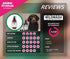 PRO Hydrating Dog Shampoo for Dry Coats - with Manuka, Lavender, Aloe Vera - Made in UK - 10.2 fl oz
