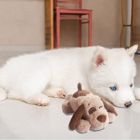 Beverly Shark Puppy Heartbeat Toy - Dog Anxiety Relief Calming Aid, Plush Toy for Puppies and Cats