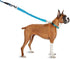 BTINESFUL Bungee Dog Leash Extension - 18” Dog Shock Absorber Extender for Walking, Jogging, and Training