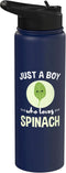 Just A Boy Who Loves Spinach Stainless Steel Insulated Water Bottle