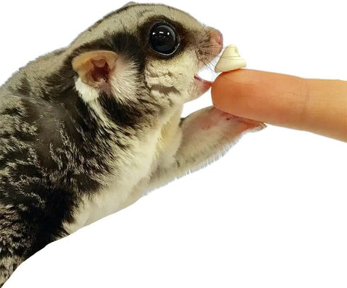 (4.5 oz.) Chinchillas, Yogu Drops With Papaya - Healthy Natural Fruit & Yogurt Treat - For Sugar Gliders, Rats