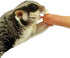 (4.5 oz.) Chinchillas, Yogu Drops With Papaya - Healthy Natural Fruit & Yogurt Treat - For Sugar Gliders, Rats
