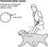 Dog Leash, Strong Lightweight Pet Training Leash for Small, Medium, or Large Dogs, Slip Leads (Black, 4ft)