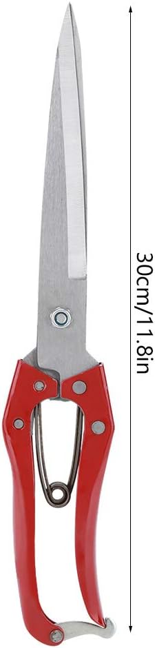 Sheep Shear, Sheep Scissor, Professional Stainless Steel Safety Sheep Wool Shear with Spring for Grooming Heavy Duty Coated Pet Grooming Scissor for Sheep Dogs Cats and by Pssopp