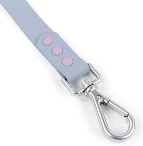 Waterproof Dog Leash with Carabiner, Soft Handle, Easy Care, 5ft*20mm*2.5mm, Light Blue