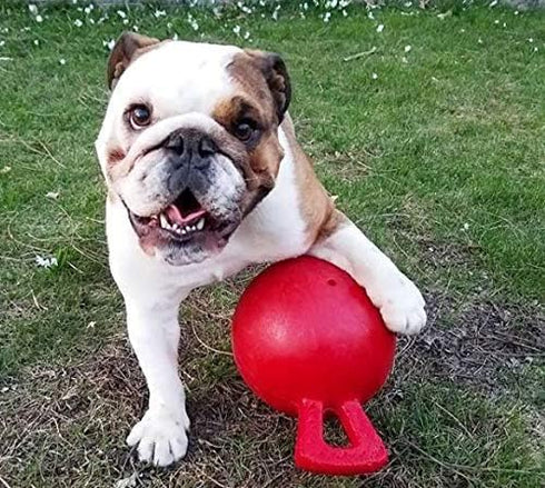 Tug N Toss Jolly Balls - 6in Assorted Colors