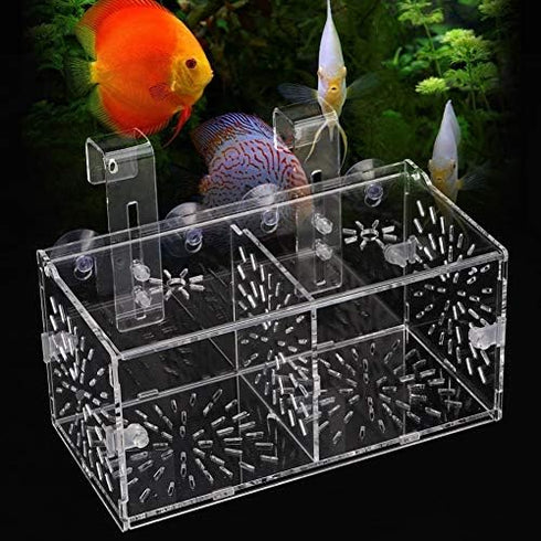 Fish Separation Breeder Box, Acrylic Isolation Box for Aquarium Hatchery Incubator (B-20x10x10cm)