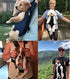 Legs Out Front-Facing Dog Carrier - Hands-Free Adjustable Pet Backpack Carrier for Walking, Hiking, Bike, and