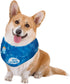 ALL FOR PAWS Chill Out Ice Bandana, Small Size