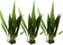 3X Marcus Fish Tanks - Java Fern Microsorum Pteropus Easy Live Aquarium Plants Aquatic Fish Tank Plants