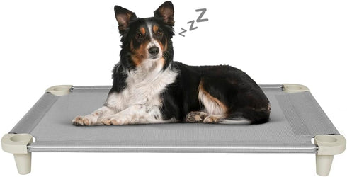 Acrimet Cooling Elevated Pet Dog Bed Cot, Washable Breathable Mesh Fabric, Stainless Steel Frame, Indoor & Outdoor Use